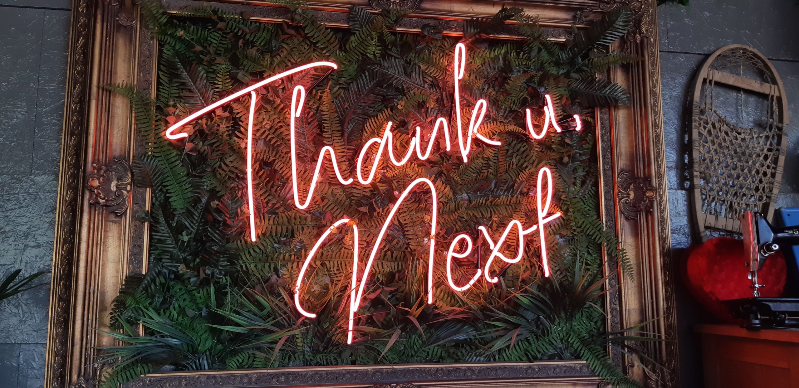 seo-neon-lamba--0q0Hq